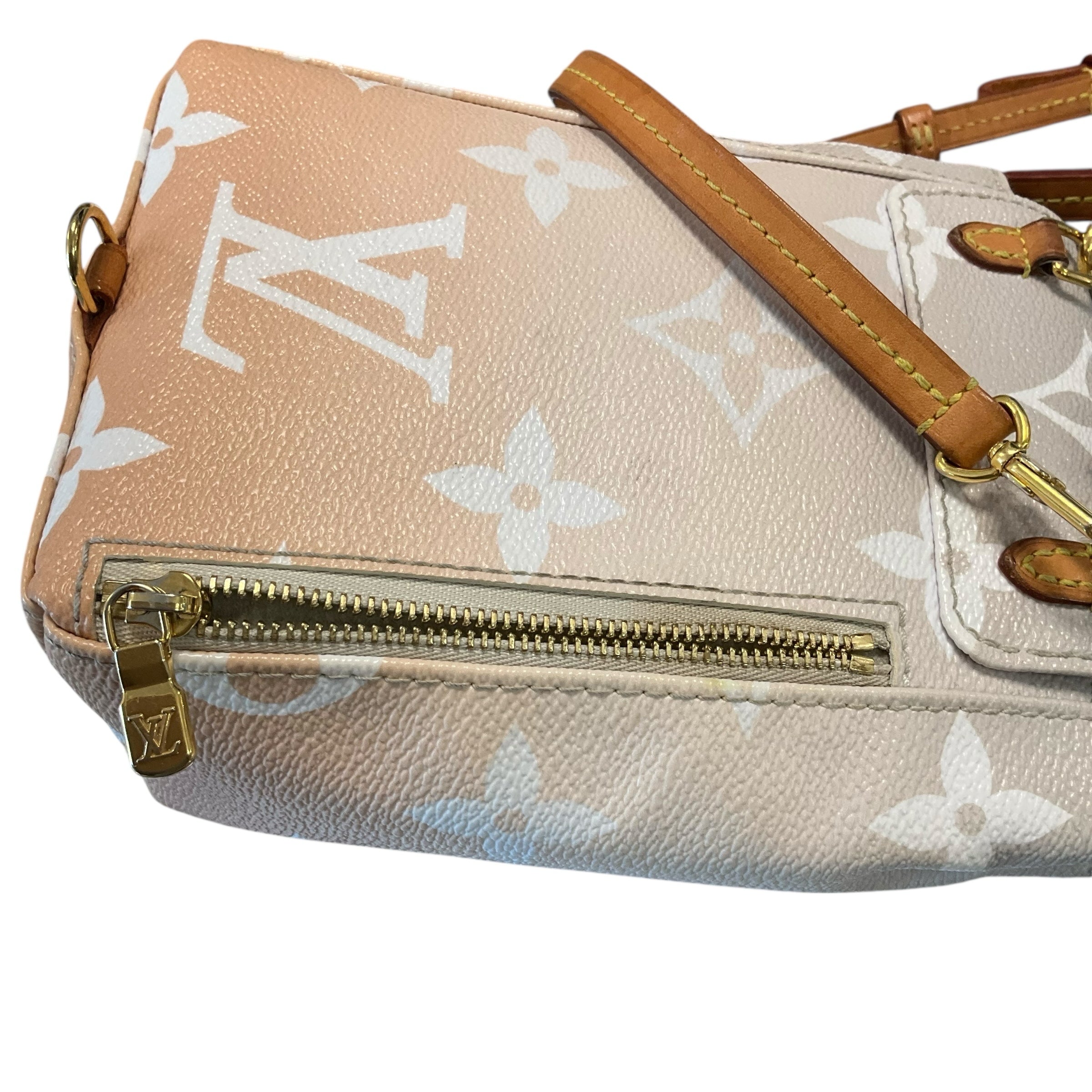 Louis Vuitton Handbag