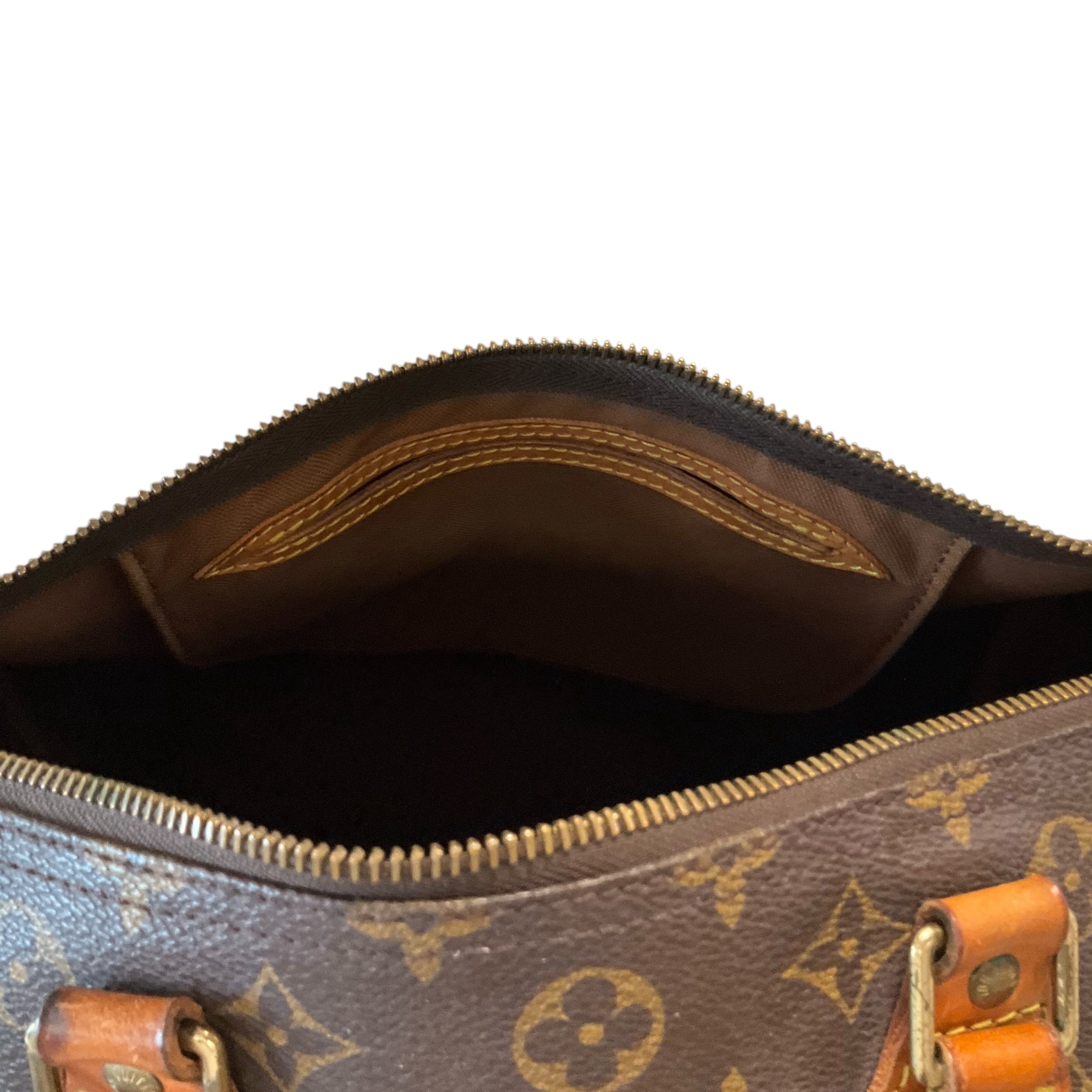 Louis Vuitton Handbag
