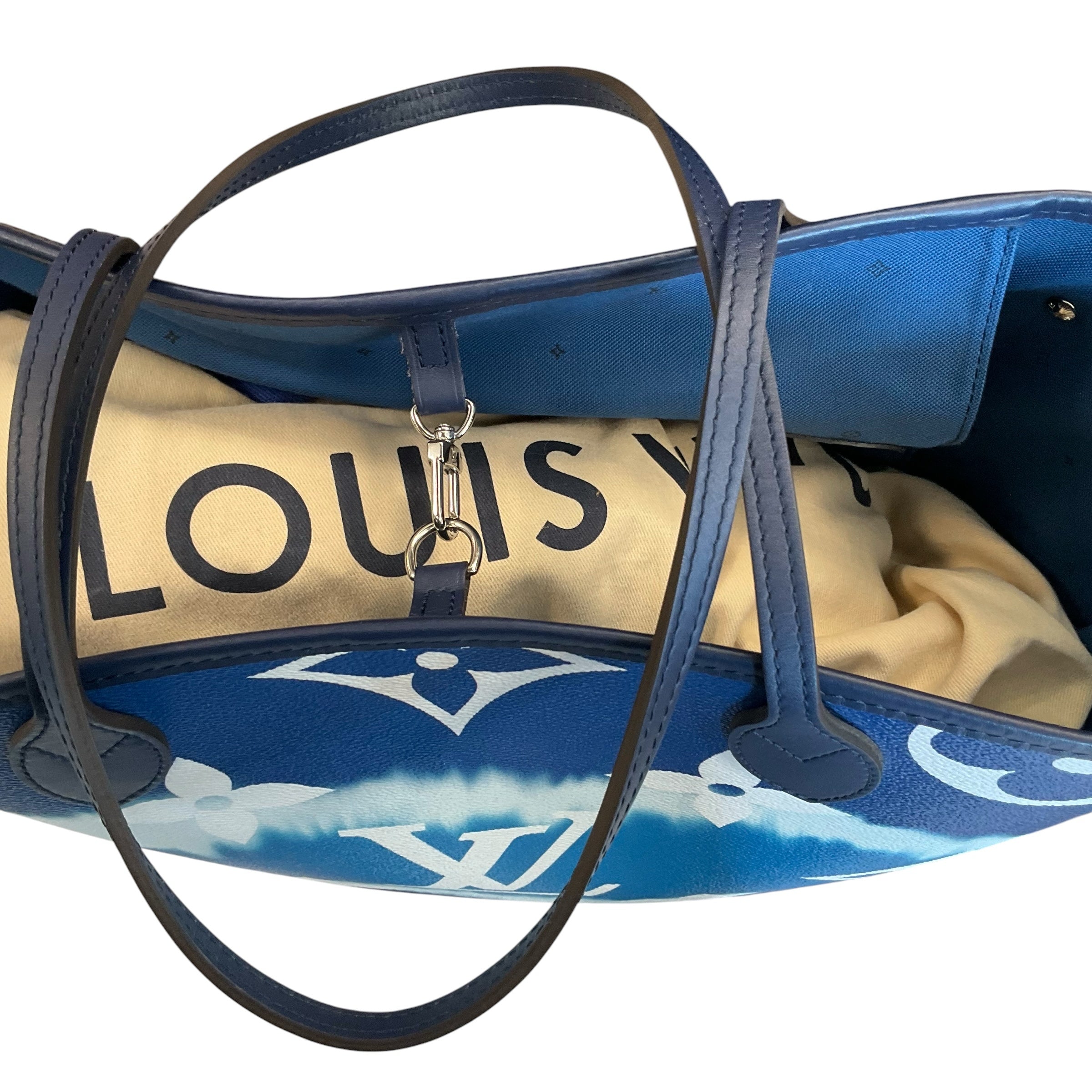 Louis Vuitton Handbag