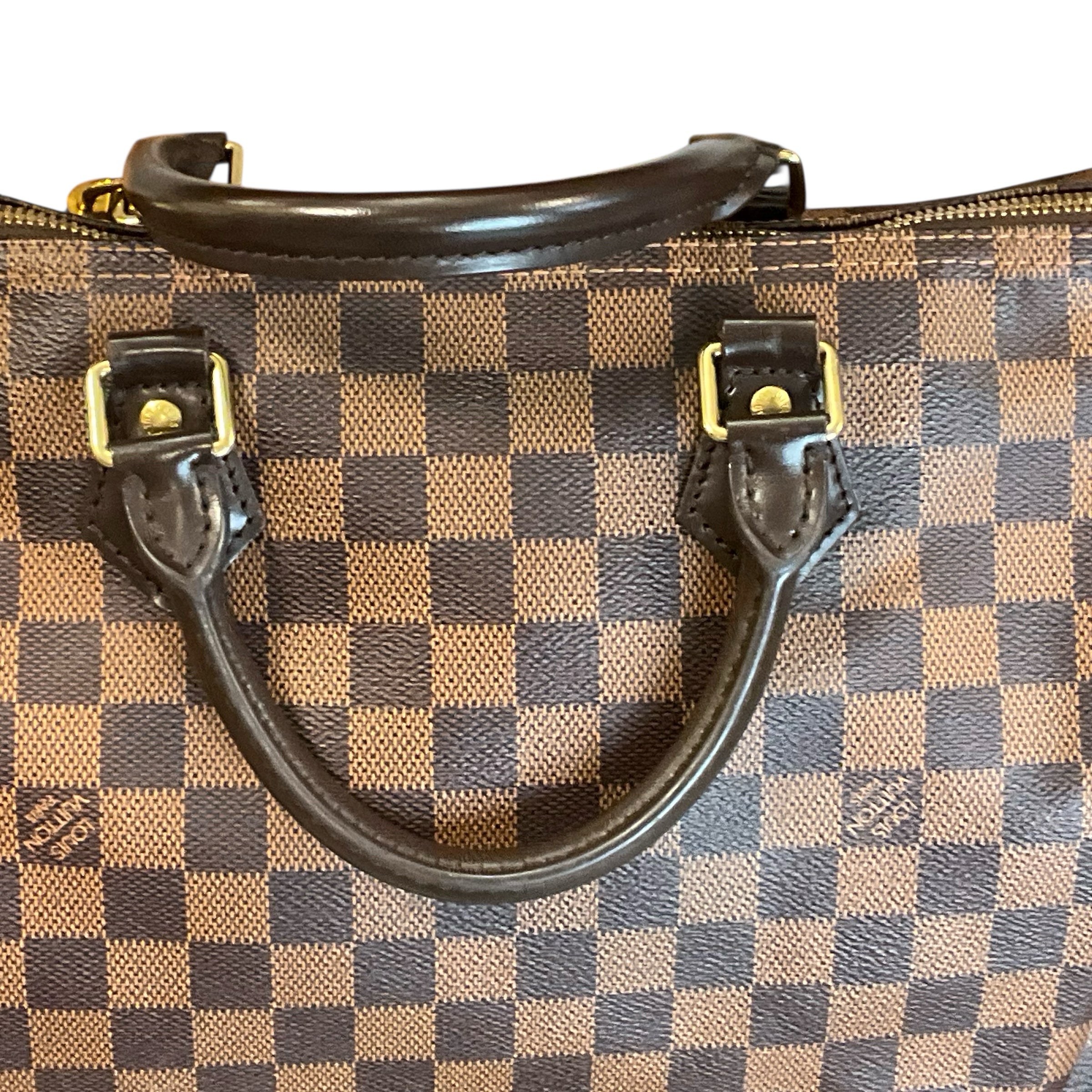 Louis Vuitton Handbag