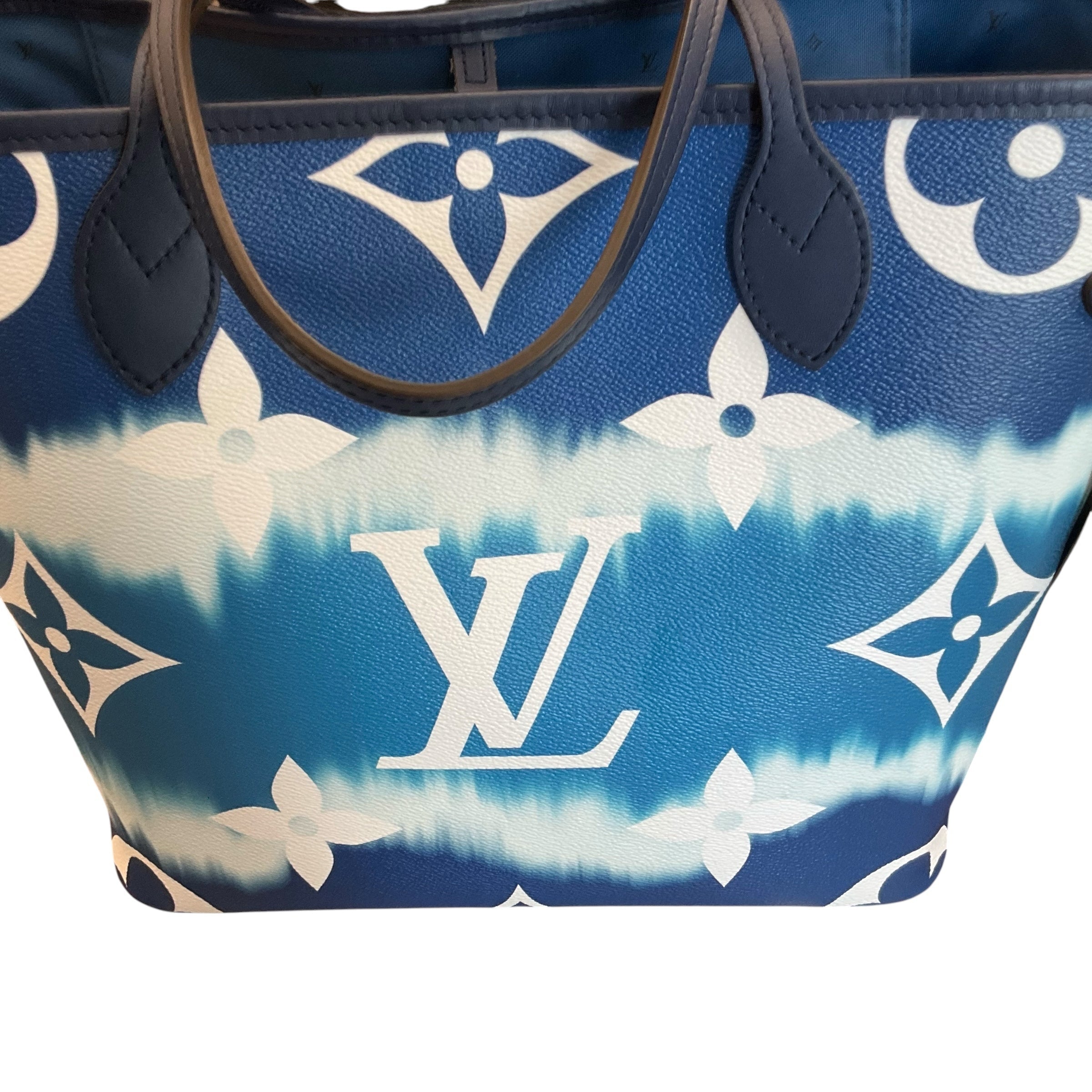 Louis Vuitton Handbag
