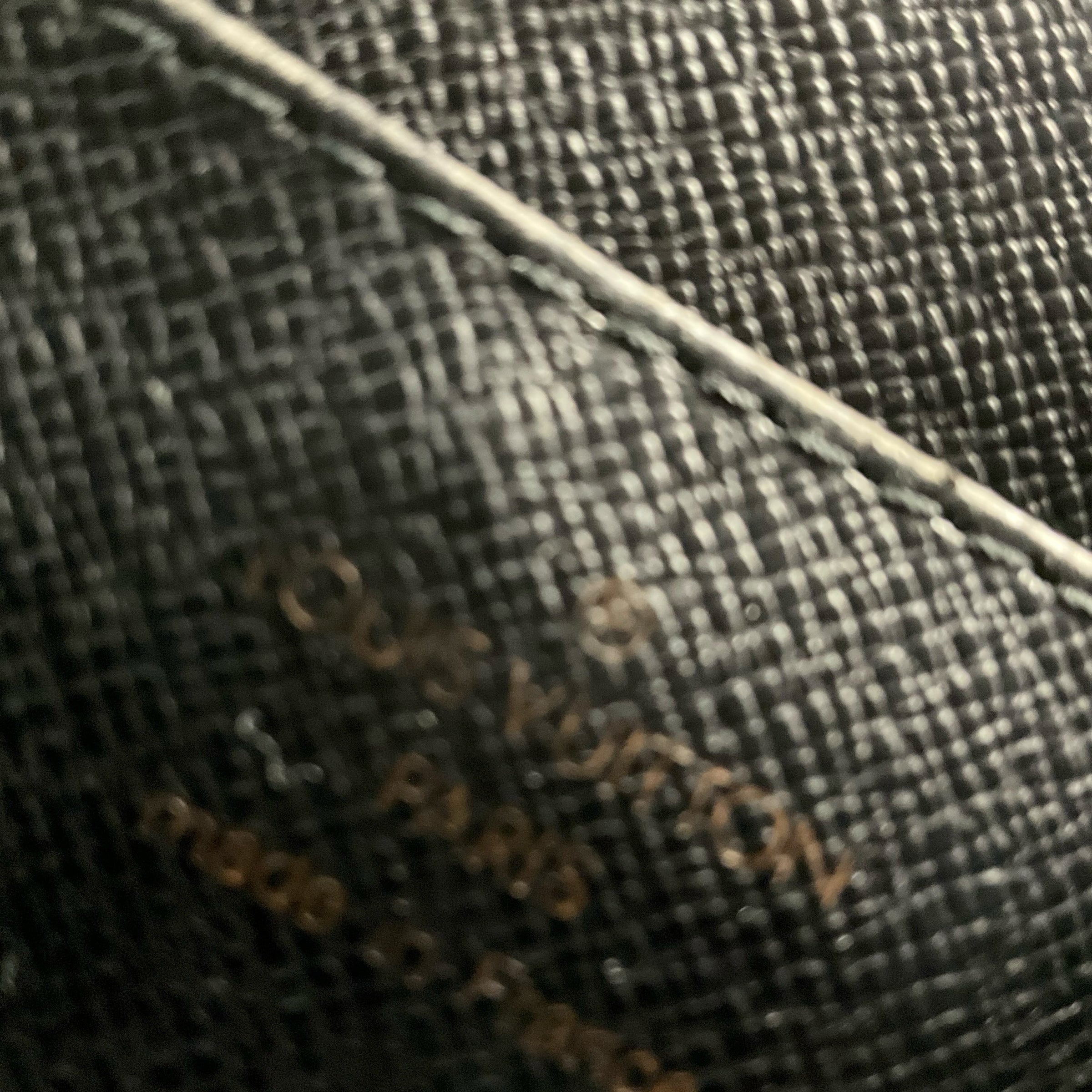 Authentic Louis Vuitton Handbag