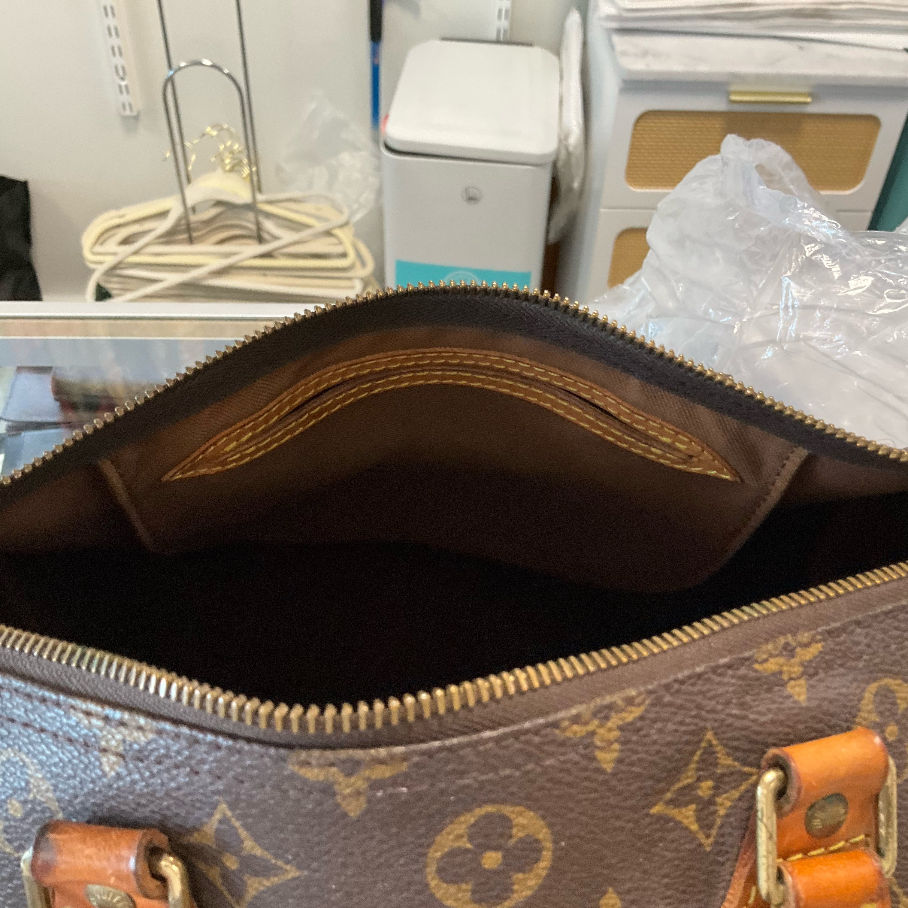 Louis Vuitton Handbag