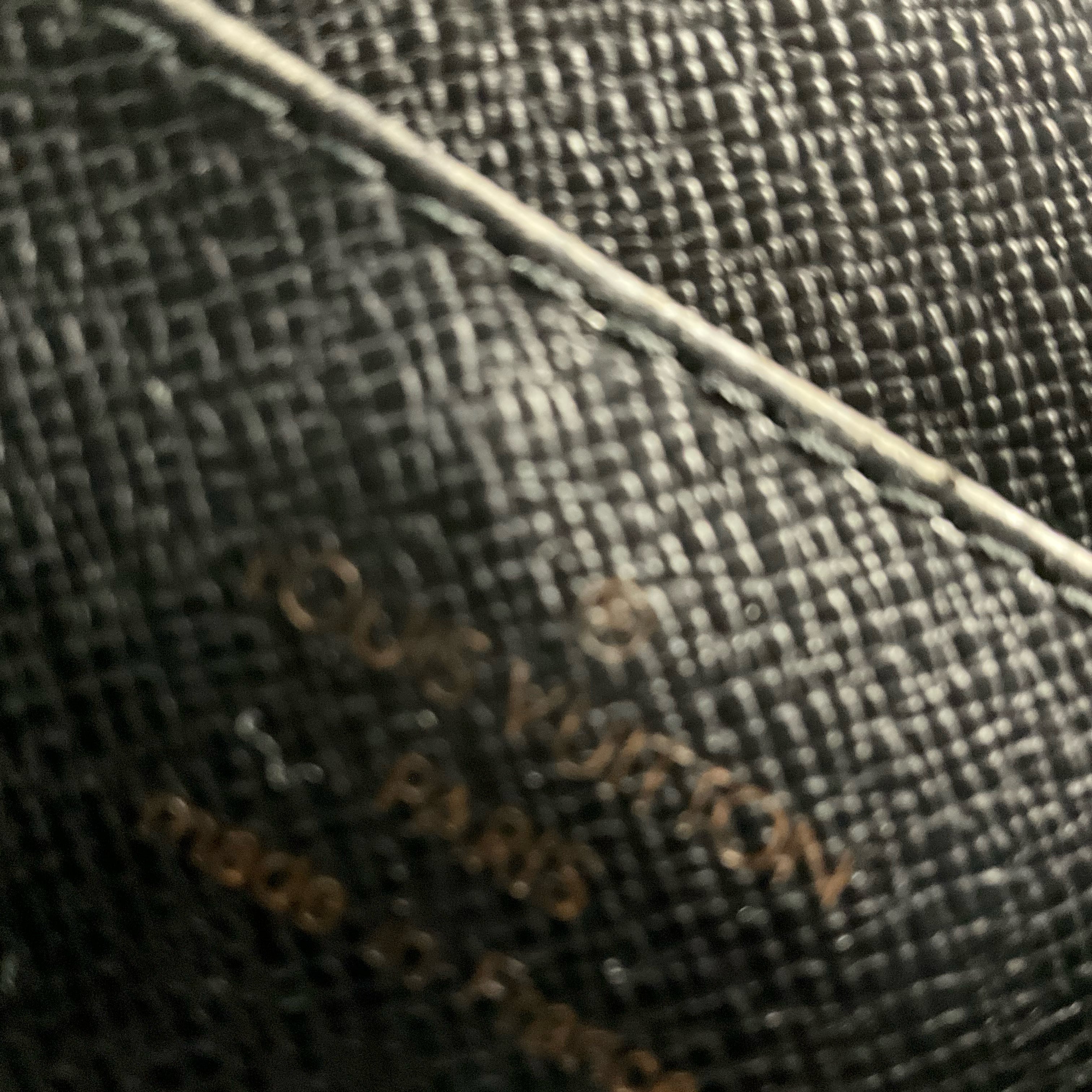 Authentic Louis Vuitton Handbag