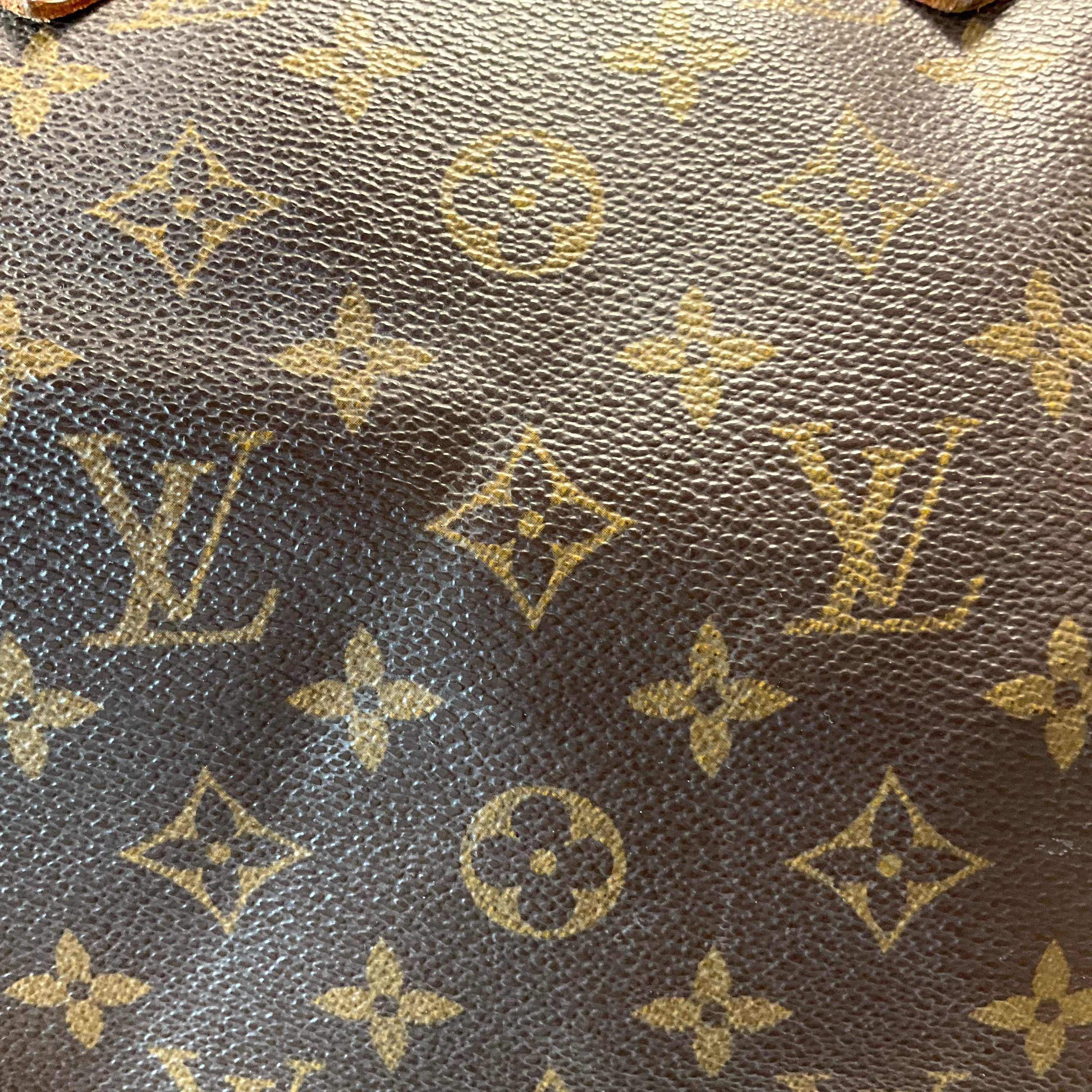 Louis Vuitton Handbag